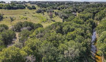 4462 Honey Creek Xing, Hico, TX 76457