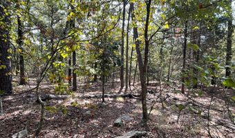 Tract 51 Highway 2, Antlers, OK 74523