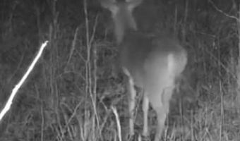 3815 W Ferguson Rd, Beggs, OK 74421