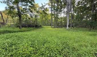 Jasmine Avenue, Atlanta, MO 63530