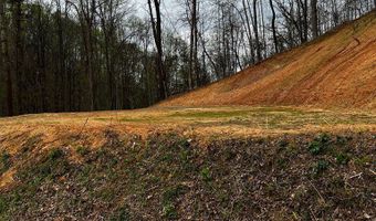 44 Bee Gum Rdg Lot 44, Almond, NC 28702