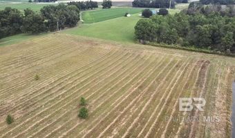 200 Block Howard Page Ln, Atmore, AL 36502