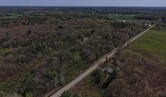 80 X Henry St, Alger, MI 48610