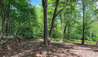 0 Woodland Hills Rd, Andes, NY 13731