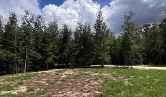 4899 36th St, Bell, FL 32619