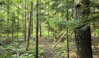 Martin Road, Alpena, MI 49707
