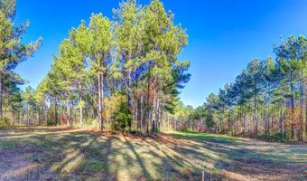 69 Highway 80 Rd, Auburn, AL 36830