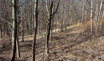 Lot # 70 Tall Tree Lane, Banner Elk, NC 28604