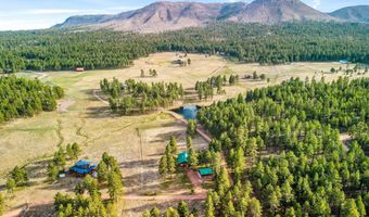2 CR N2261, Alpine, AZ 85920