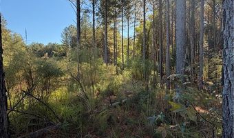 31 Waterside Pt, Abbeville, SC 29620