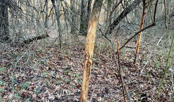 0002 CR-290, Asbury, MO 64832
