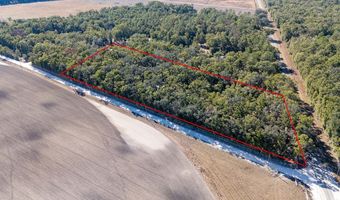 4035 County Road 342, Bell, FL 32619