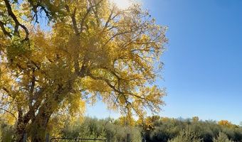 ROAD 4599, Blanco, NM 87412