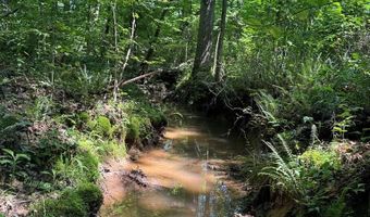 Cr 244, Abbeville, MS 38601