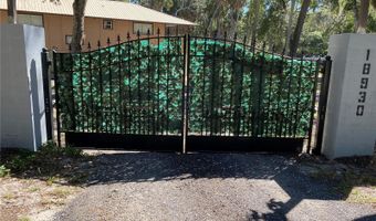 18930 JEBERT Dr, Aripeka, FL 34679