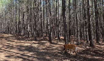 MOUNTAIN CUT RD lot D, Appomattox, VA 24522