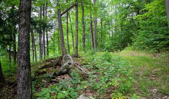 1372 Comerford Dam Rd, Barnet, VT 05821