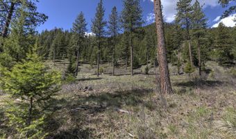Nhn Mountain Vista Lane, Alberton, MT 59820