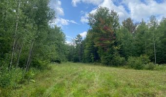 NEAR SCHMIDT LN, Argonne, WI 54511