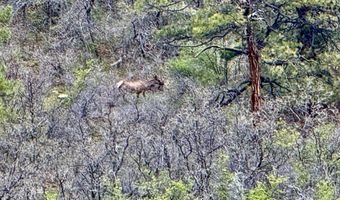 15098 CR 240, Bayfield, CO 81122