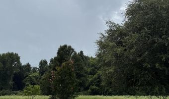 2152 Brogdon Rd, Alcolu, SC 29001
