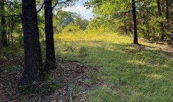 Co Rd 539, Ava, MO 65629