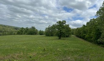 Co Rd 321 Route 5, Ava, MO 65608