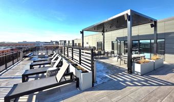 737 SWANN Ave 308, Alexandria, VA 22301