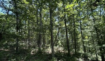 12260 Potomac Highlands Trl, Arbovale, WV 24915