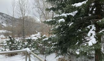 410 N Mill St, Aspen, CO 81611