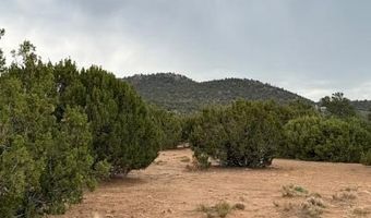 31 County Road 3044, Concho, AZ 85924