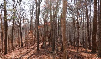 Virginia Ave lot 75, Bassett, VA 24055