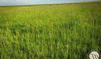 00 David Rd, Broadview, MT 59015