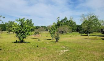 9150 SW 151ST Ln, Archer, FL 32618