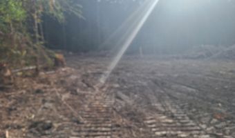 709 Old Pinola Braxton Rd, Braxton, MS 39044