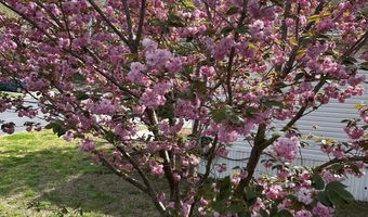 3 BAY VISTA Dr, Berlin, MD 21811