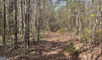 Piedmont Road, Barnesville, GA 30204