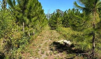 Lot 2 50th Ave, Bell, FL 32619
