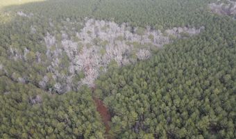 Tbd Highway 461, Ahoskie, NC 27910