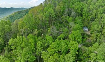Jacks Knob Road 49, Barnardsville, NC 28709