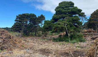 20 St SW, Bandon, OR 97411