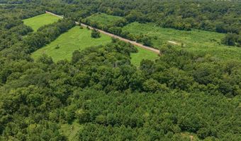 11661 Gamm Rd, Belcher, LA 71004