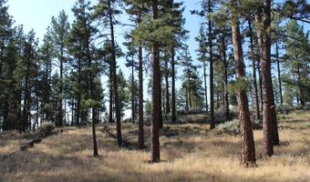 030 Butterfly Peak Rd, Mountain Center, CA 92561
