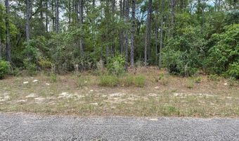 3690 W Norwick Pl, Dunnellon, FL 34433