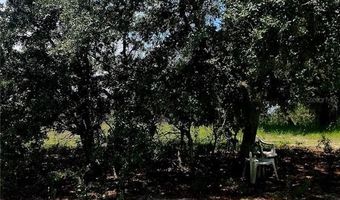 562 LIBBY Rd, Babson Park, FL 33827
