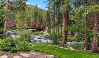 315 RIVER PARK Dr, Breckenridge, CO 80424