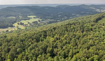 50 Acres Scenic Hwy, Attalla, AL 35954