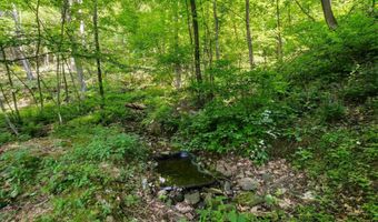 2411 QUAKER RUN Rd, Banco, VA 22711
