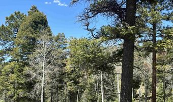 Lots 16 Lot17 Palo Flechado Ridge Road, Angel Fire, NM 87710