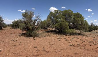 20 N 9160, Concho, AZ 85924